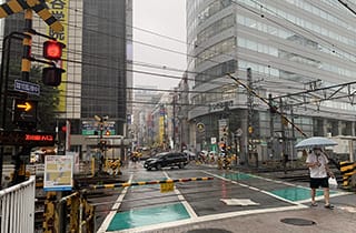 サロンへの道